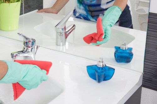 Cleaning service terms and conditions document introduction