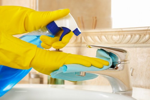 Bathroom deep cleaning with limescale removal in Kentishtown