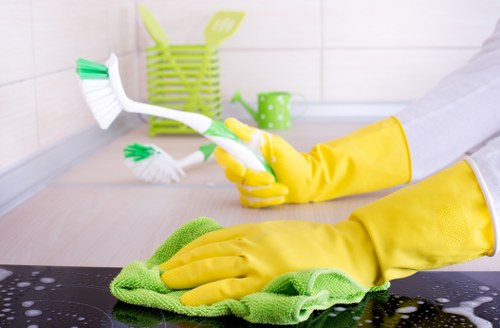 Bedroom and living area deep cleaning in Kentishtown