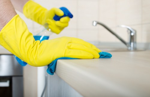 Professional oven cleaning process in a modern kitchen