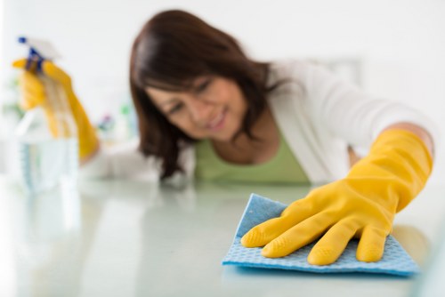 Screen reader compatible content structure for Kentishtown Cleaner