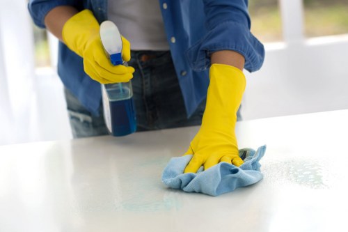End of tenancy cleaning in a prepared flat